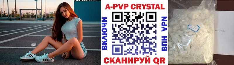 A-PVP СК  Химки 