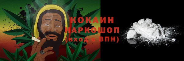 apvp Белокуриха