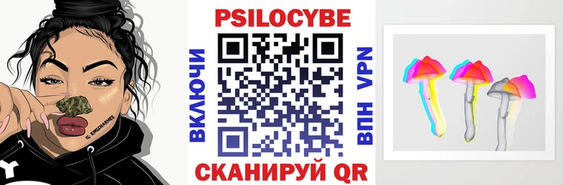 где можно купить наркотик  Химки  Псилоцибиновые грибы Psilocybine cubensis 